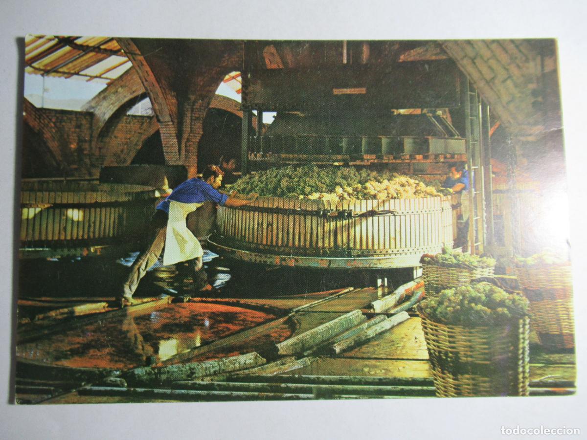 Postales: Cavas Codorniu - Prensado de la uva - Foto 1