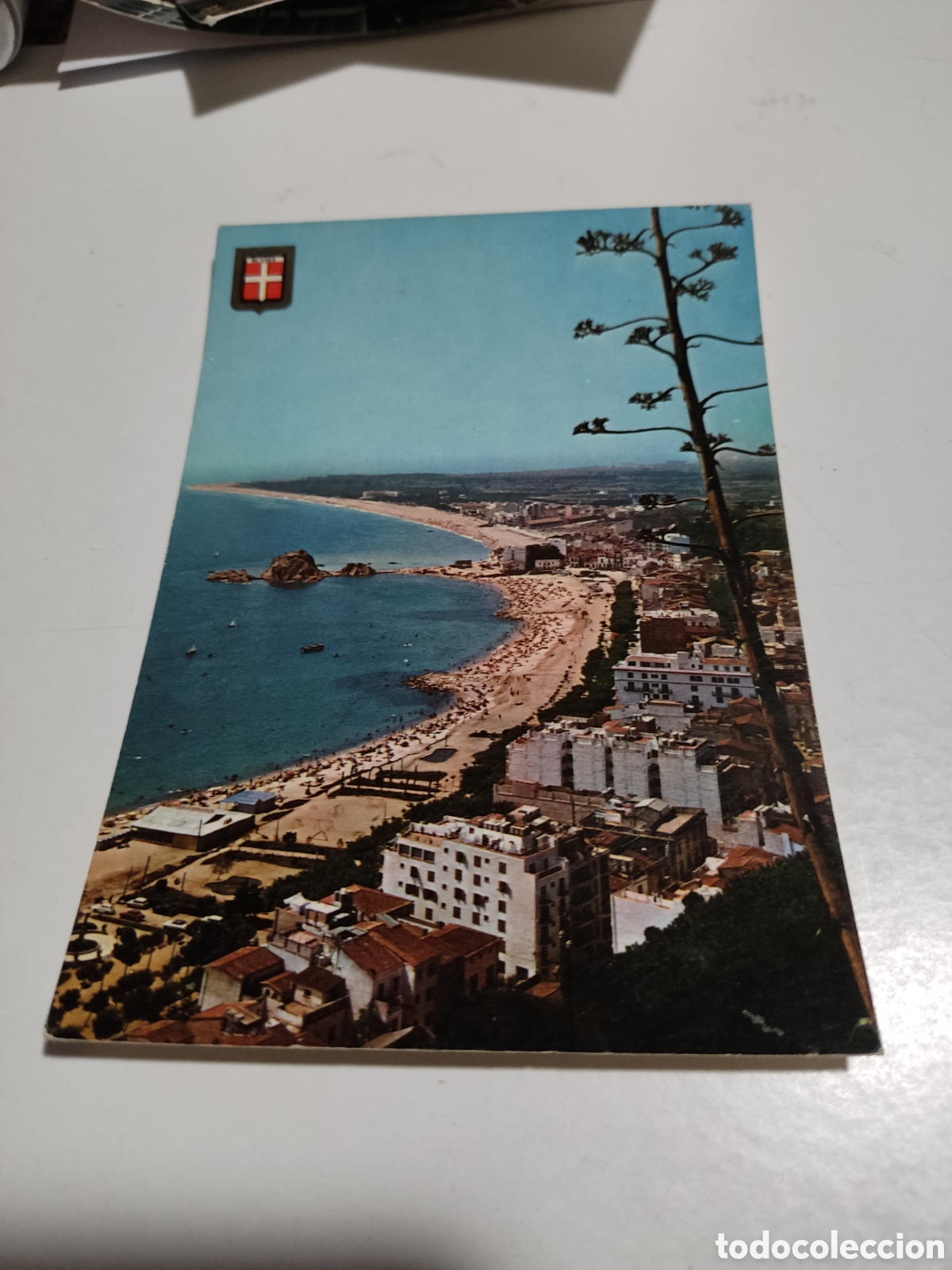 Postales: Postal Blanes panor&aacute;mica - Foto 1