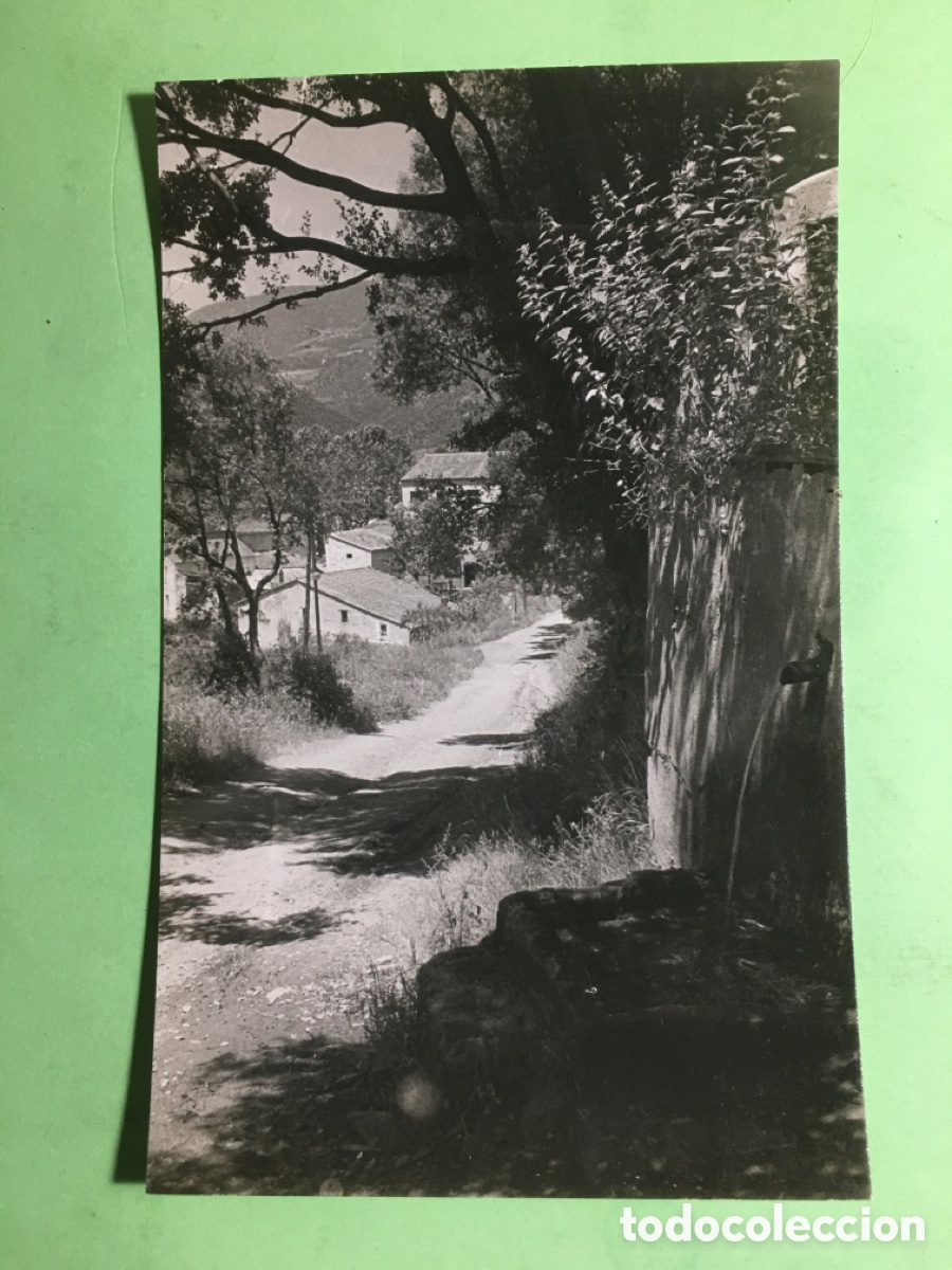 Postales: B/N S/C MONTSENY 27 PAISAJE CON CAMINO 1242 - R1266