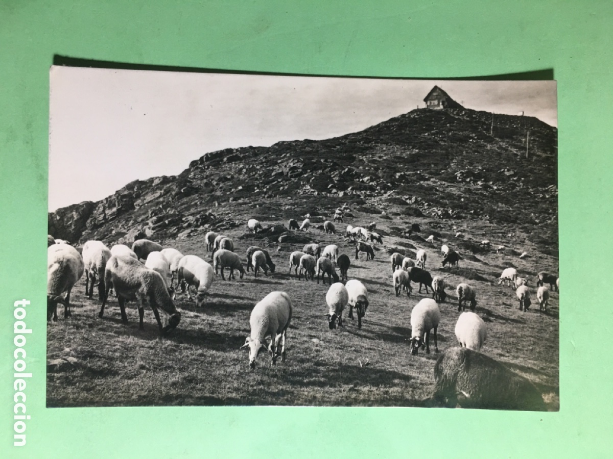 Postkarten: 1959 B/N CIRCULADA MONTSENY TUR&Oacute; DE L&rsquo;HOME I RAMAT ED. FOT. BOSCH - R1268