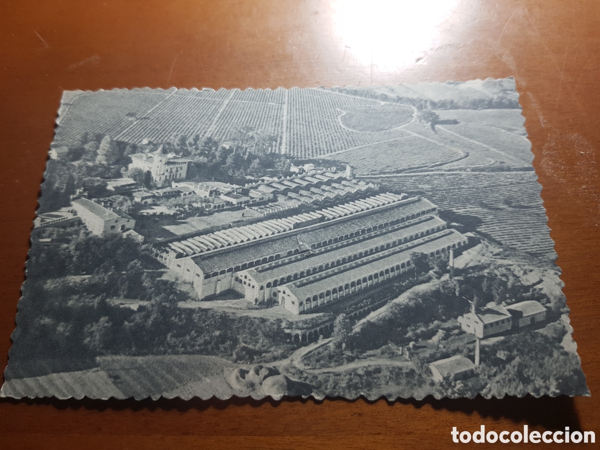 Postales: Postal Codorniu, San Sadurni de Noya, Panoramica desde un avi&oacute;n n&deg; 1