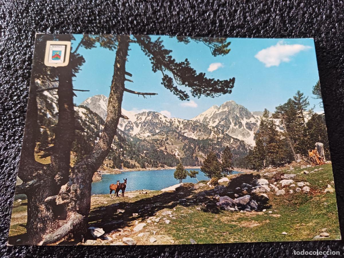 Postcards: 911 pirineu catala, vall d`espot, sant maurici, ed. escudo, circulada 1965