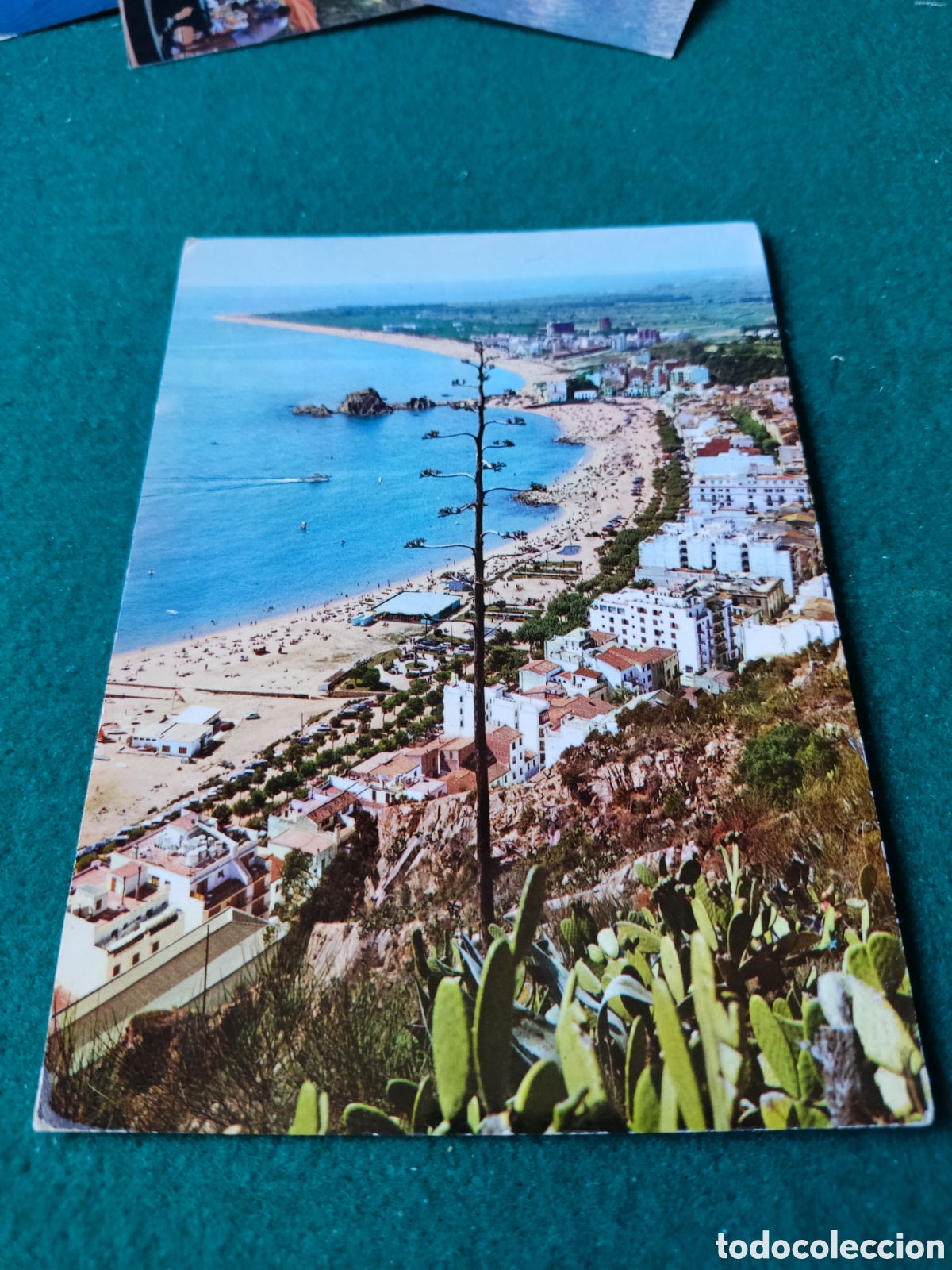Postales: Postal Blanes panor&aacute;mica - Foto 1