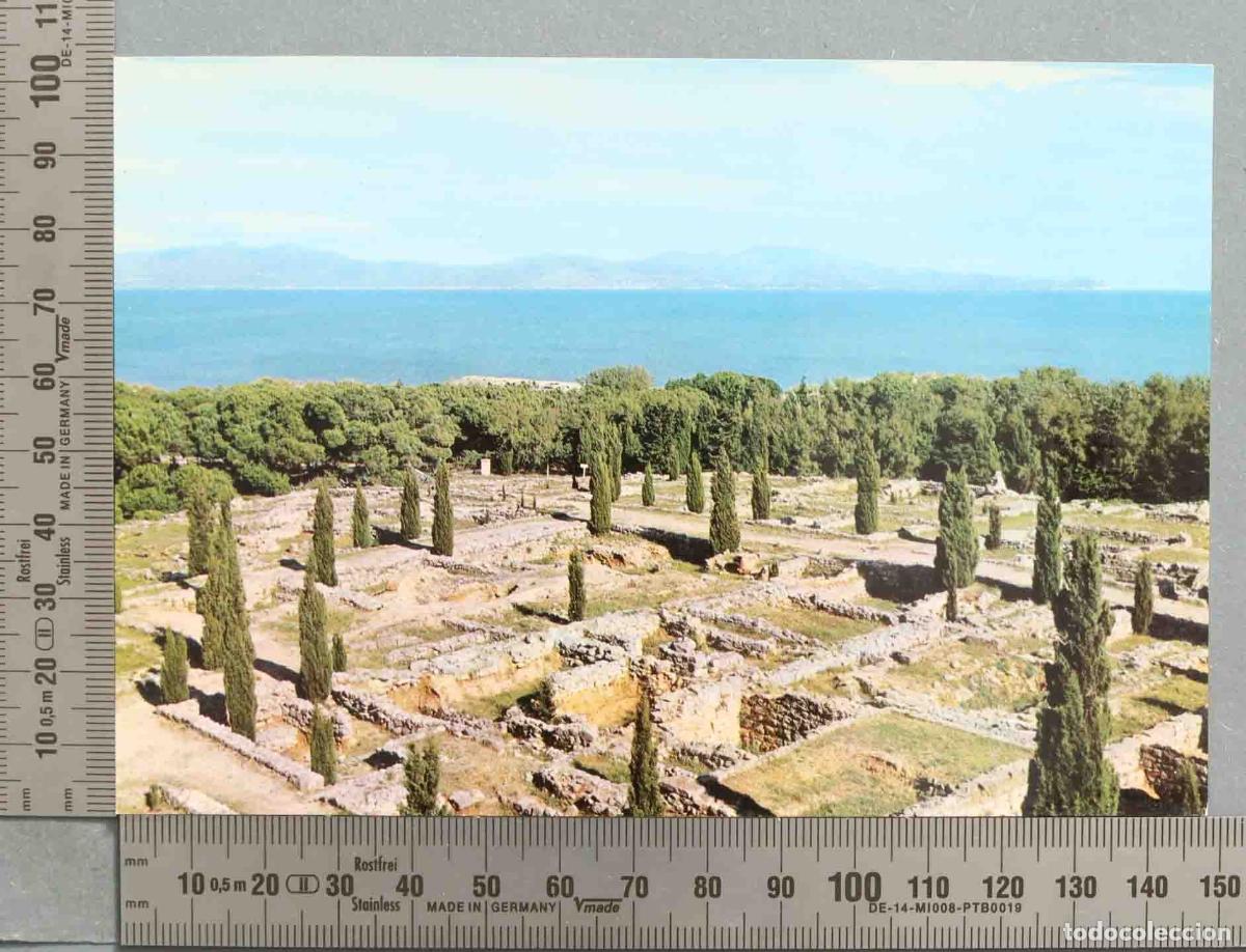 Cartes Postales: POSTAL. AMPURIAS NECROPOLIS GRIEGA