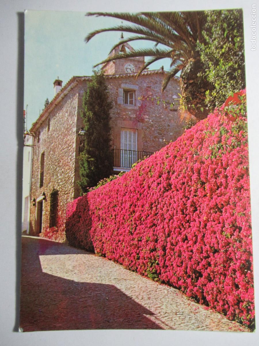Postais: San Pedro de Premi&agrave; - Camino de la Iglesia