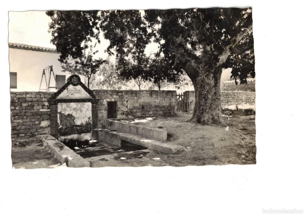 Postales: BORJAS BLANCAS. 15 FONT VELLA