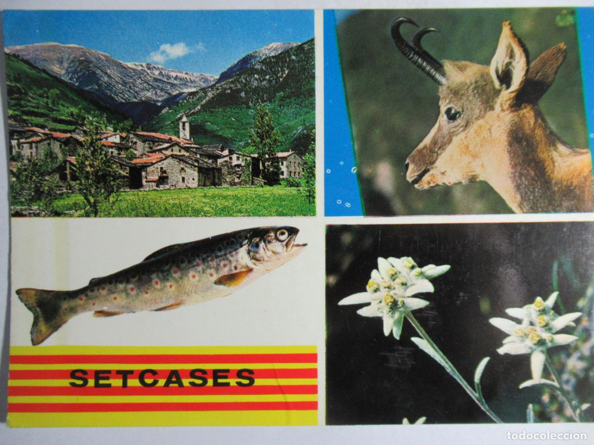 Postales: Setcases (Girona) S/C - Foto 1