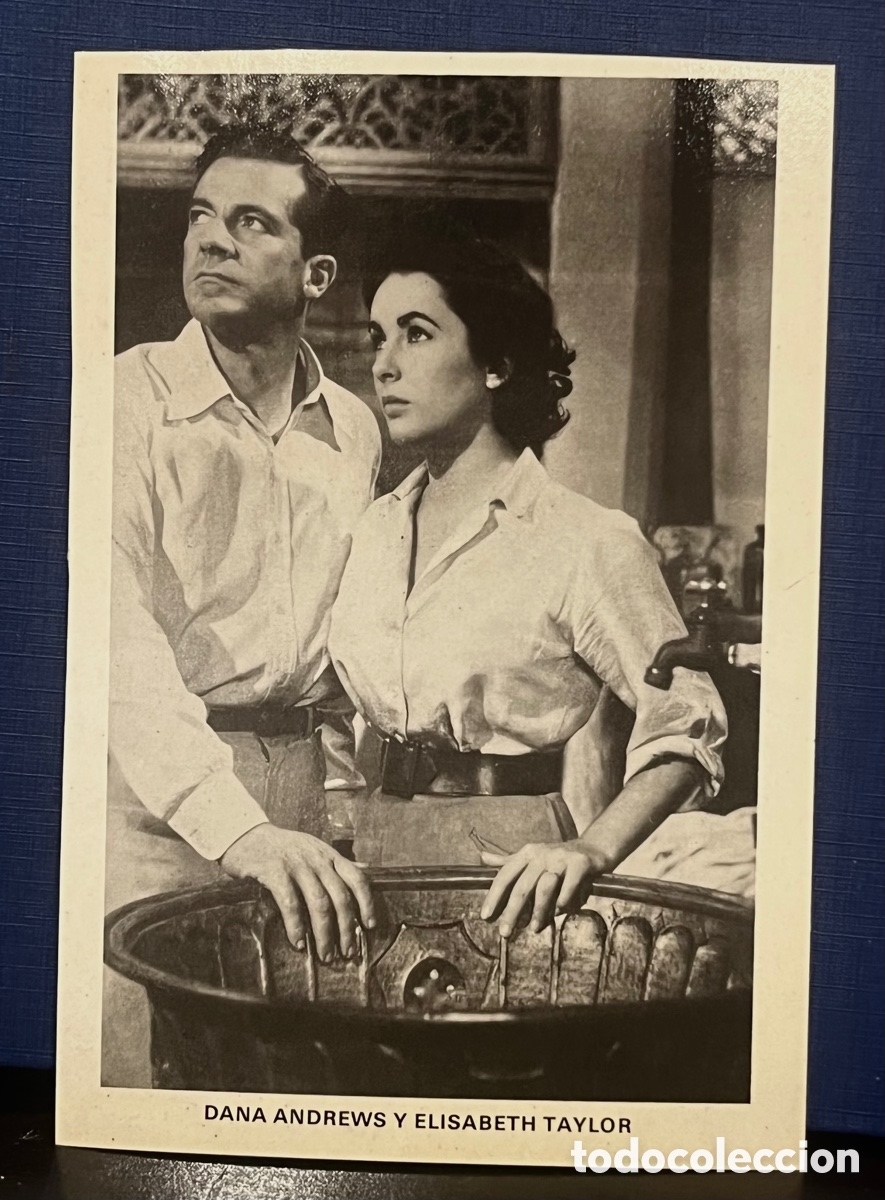 Postcards: POSTAL. DANA ANDREWS Y ELISABET TAYLOR. sin circular