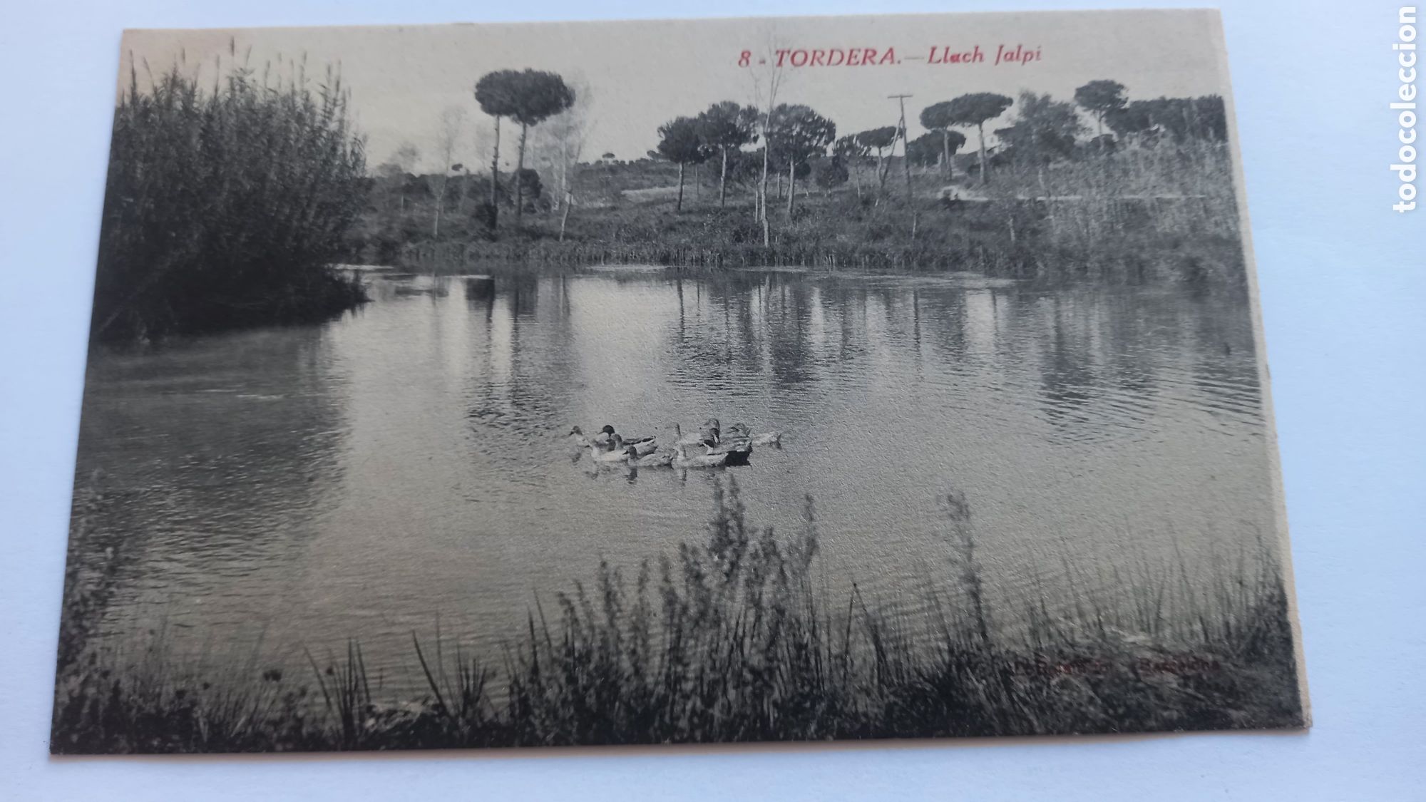 Postales: Postal TORDERA. Llach Jalpi - Foto 1