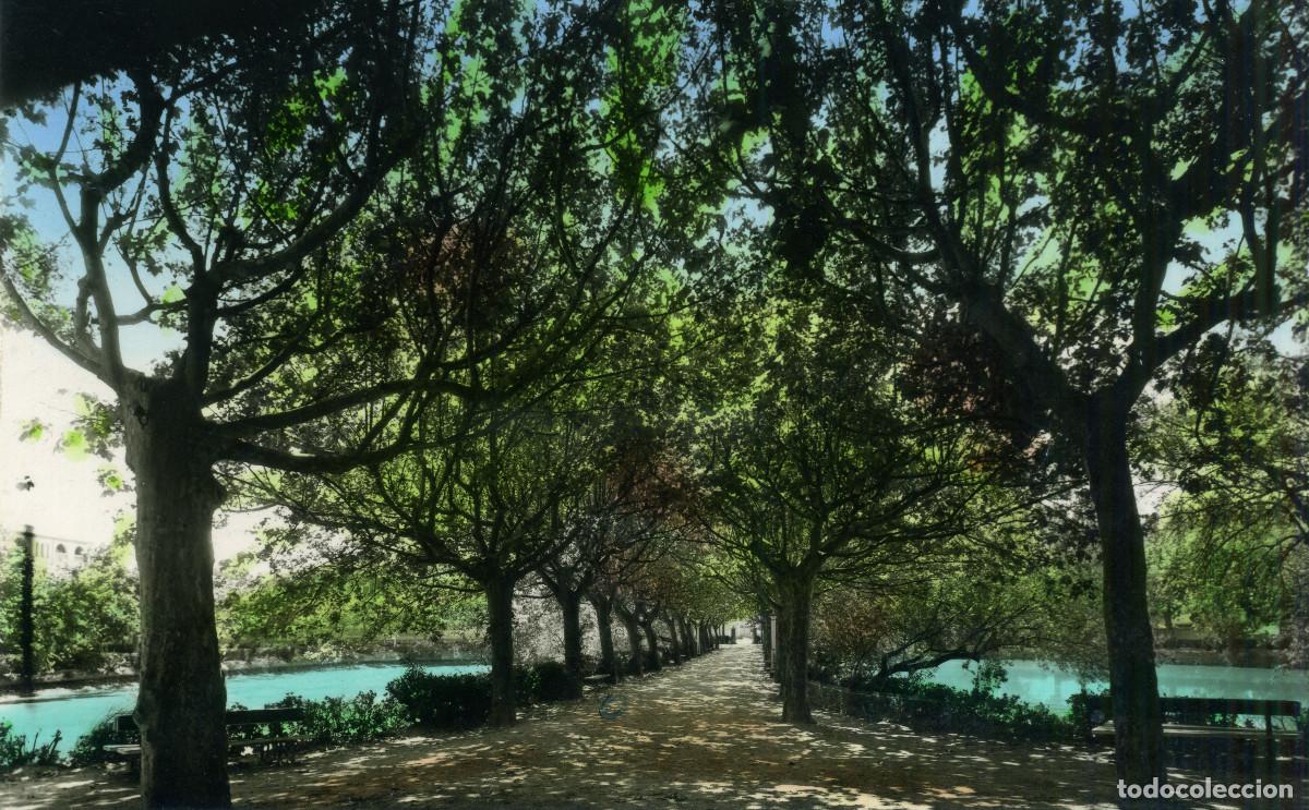 Postales: BORJAS BLANCAS - PARQUE TERRALL - Foto 1