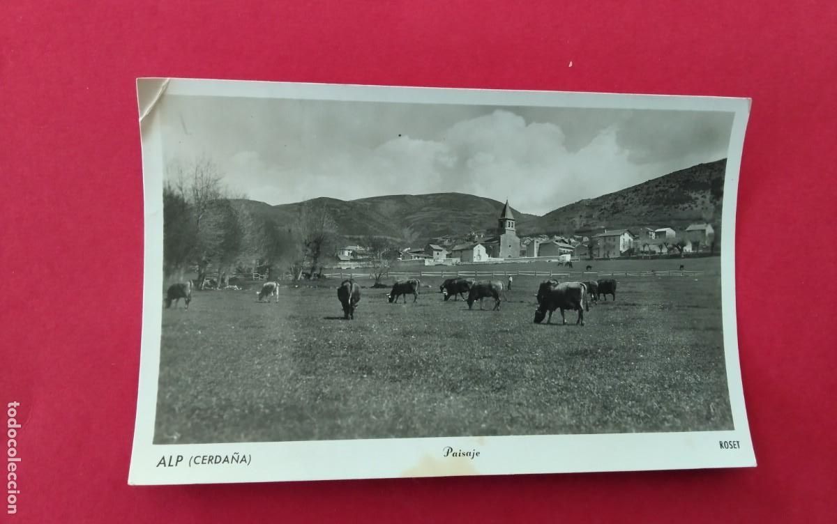 Postales: ALP , POSTAL ANTIGUA , BLANCO Y NEGRO , - Foto 1