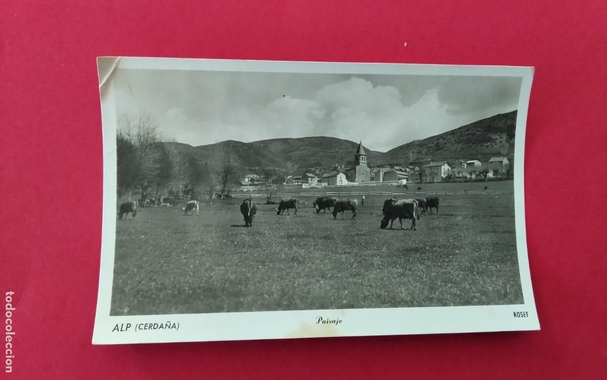 Postales: ALP , POSTAL ANTIGUA , BLANCO Y NEGRO , - Foto 2