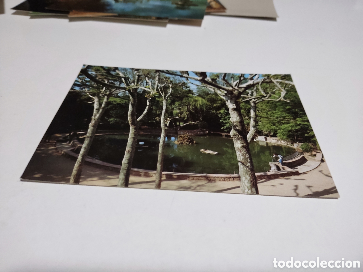 Postales: Postal moia estanque parque - Foto 1