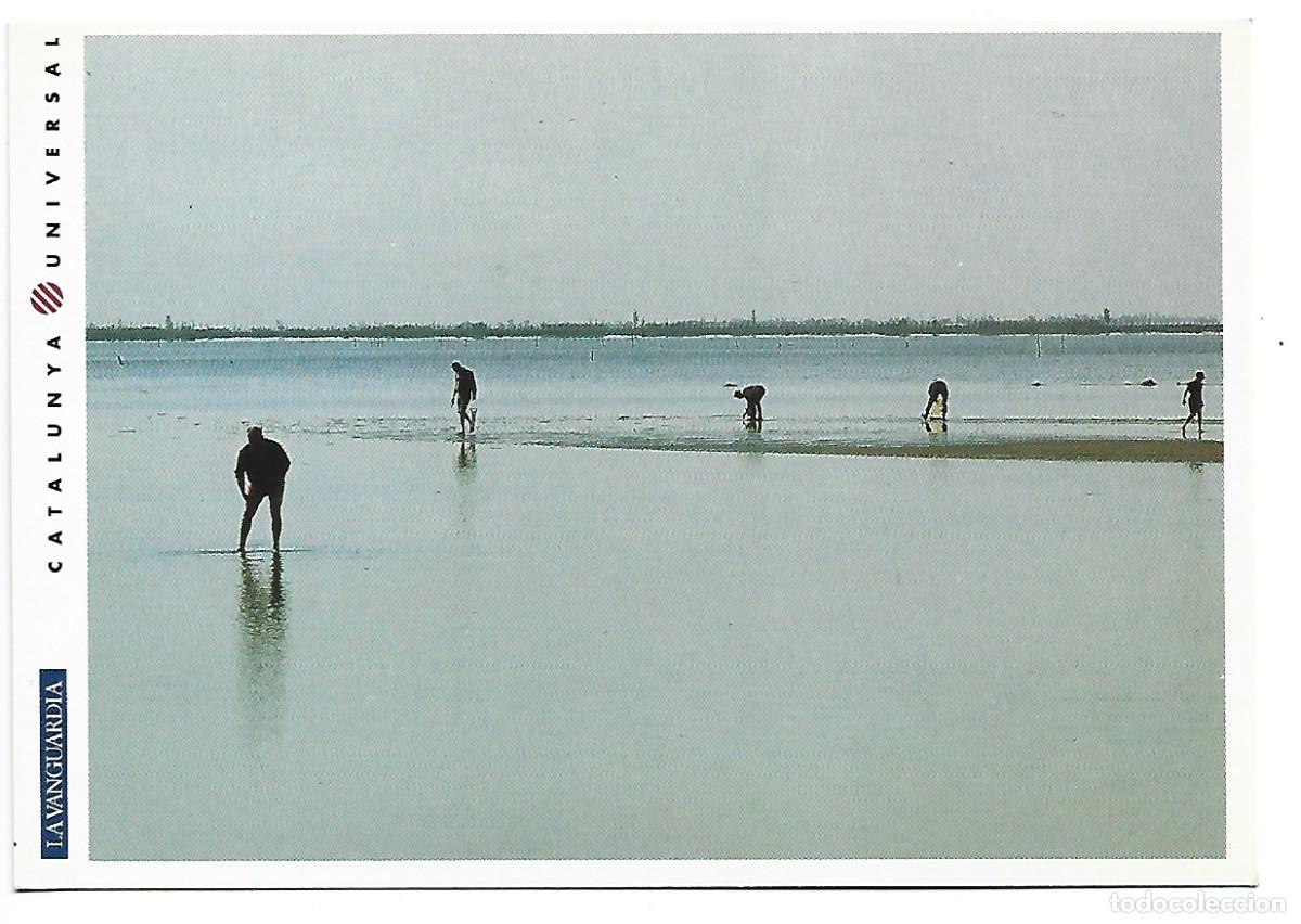 Postales: EL DELTA DE L&acute;EBRE. MARISCADORES - Foto 1