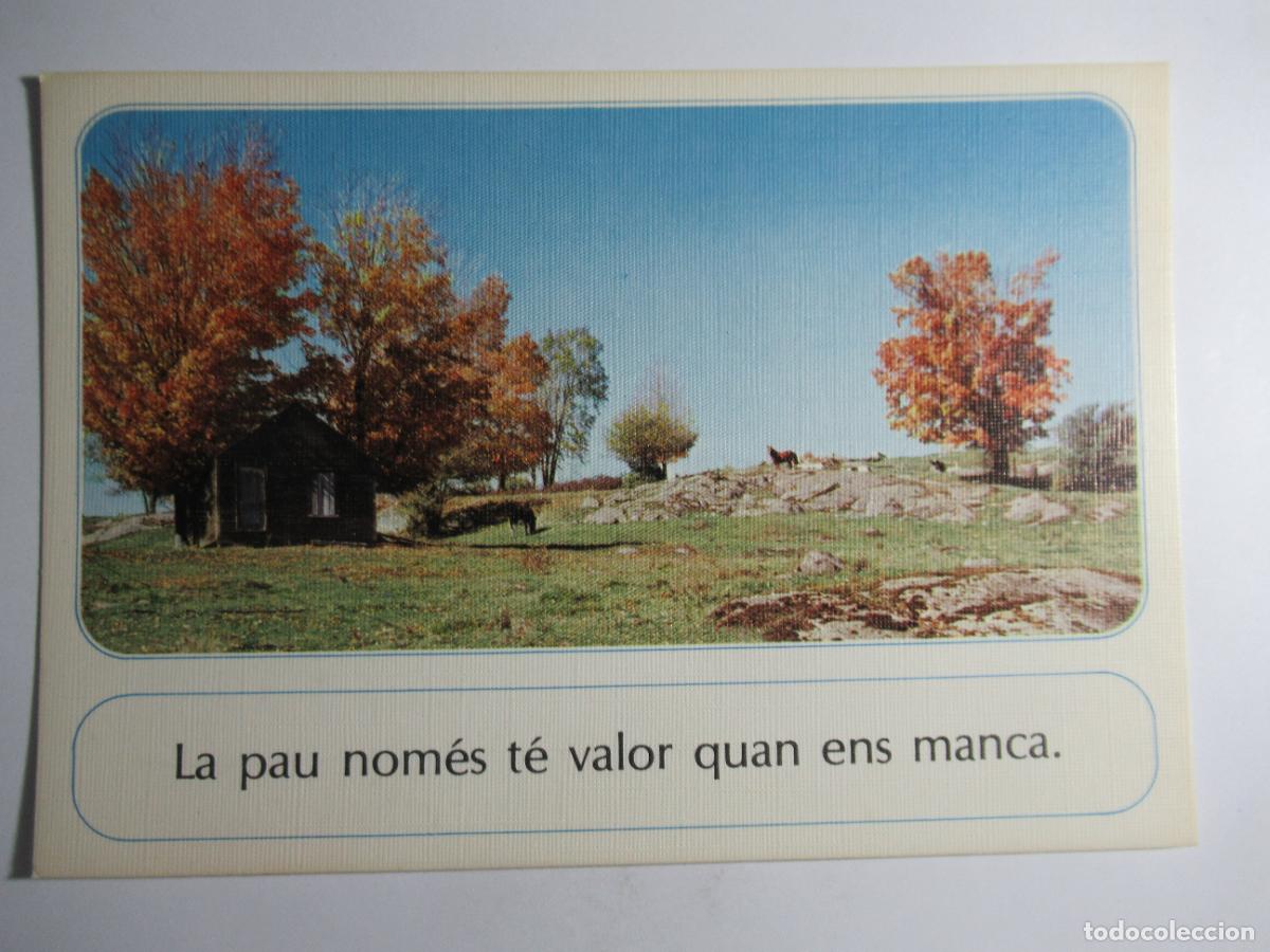 Postais: La Postal de l'Amistad - Comercial escudo de oro