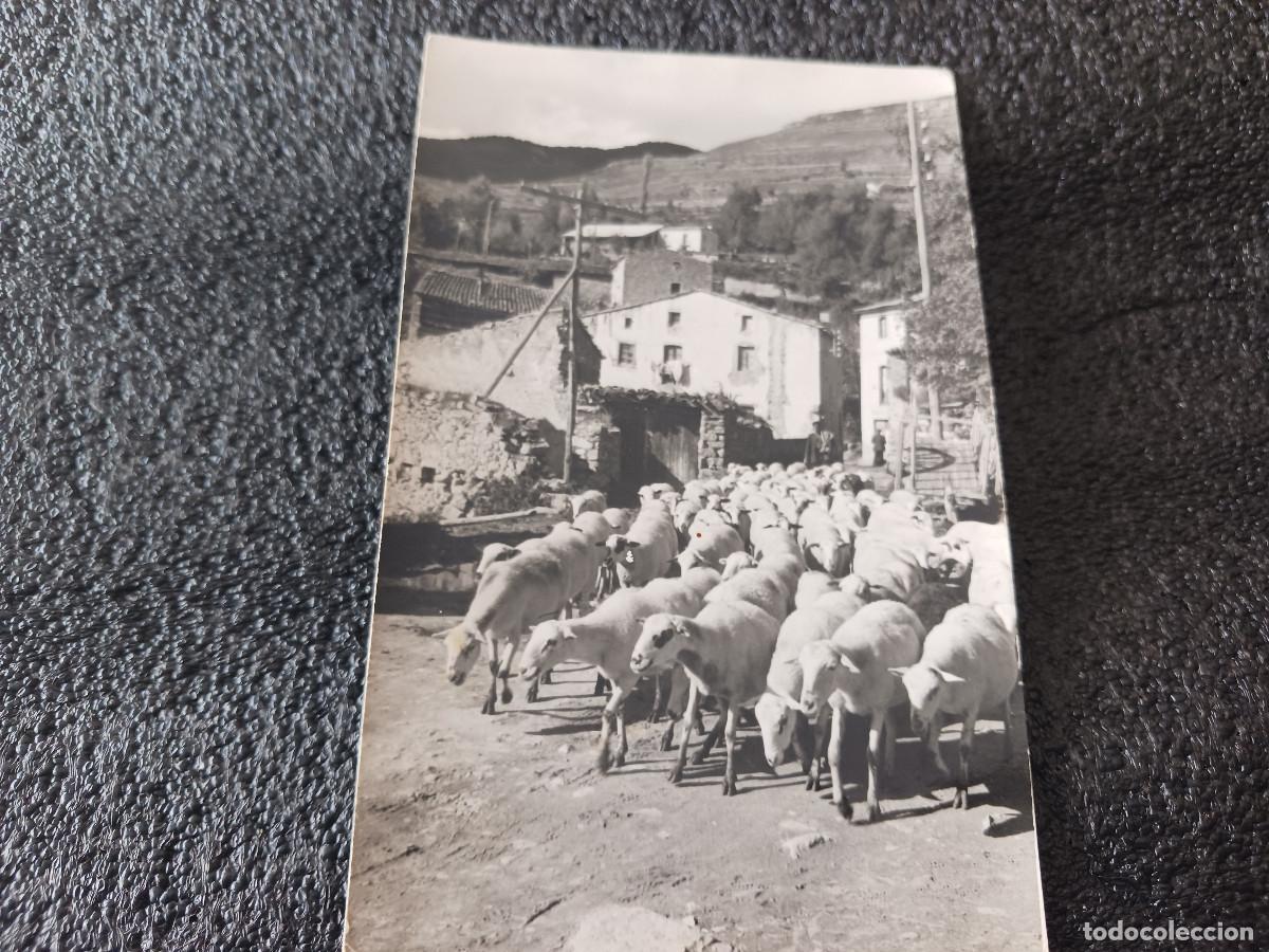 Postcards: postal fotografica, PRULLANS DE CERDA&Ntilde;A-reba&ntilde;o-FOTOGRAFIA, circulada 1967
