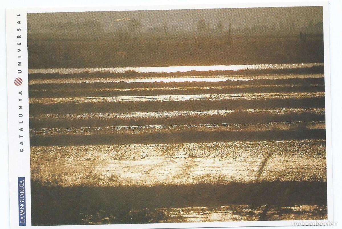 Postcards: EL DELTA DE L&acute;EBRE. AMANECER EN UNA DE LAS ZONAS DE CULTIVO.- CATALUNYA UNIVERSAL.- LA VANGUARDIA