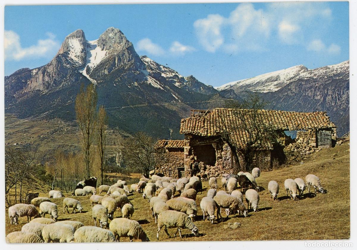 Postais: m10437 Saldes Pedraforca 1971 Arribas N&ordm;210 circulada