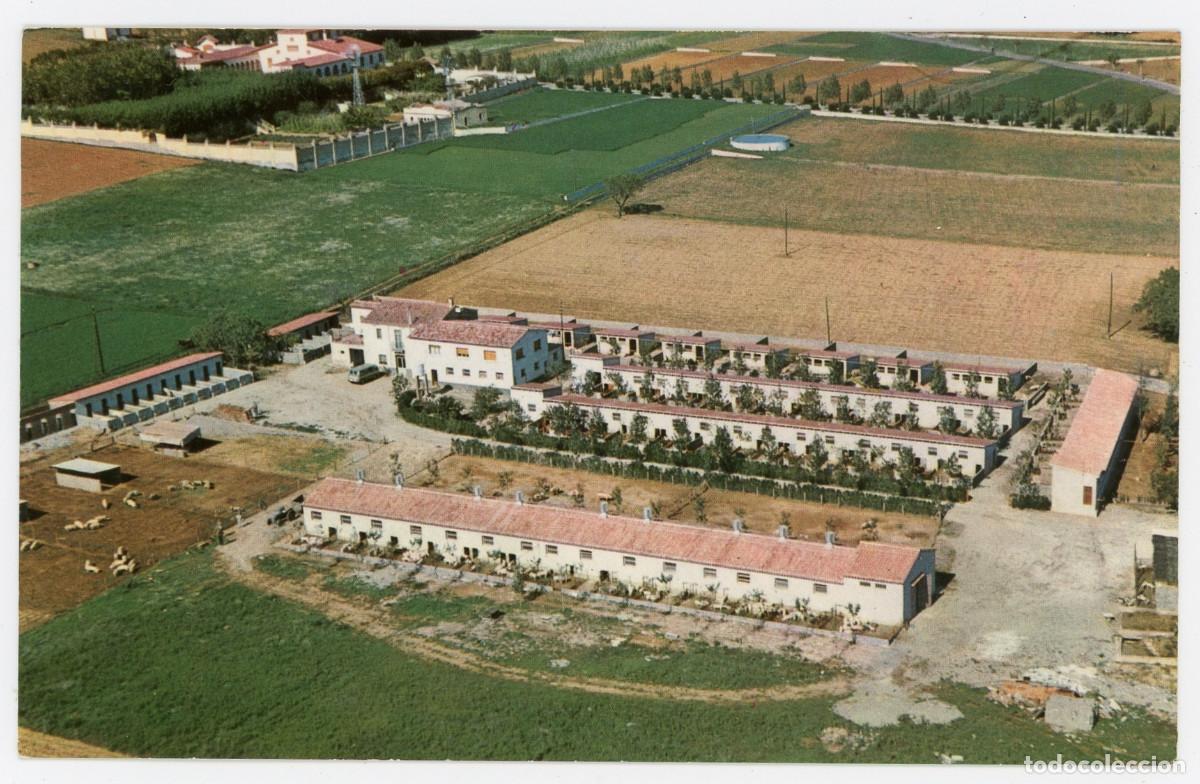 Postais: m10460 ametlla del valles granja l'ametlla granja porcina 1965 sc