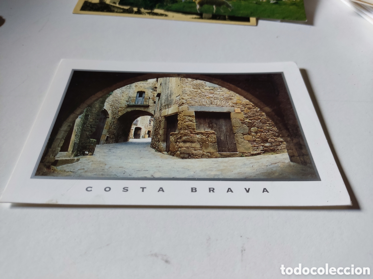 Postales: Postal pals panor&aacute;mica - Foto 1