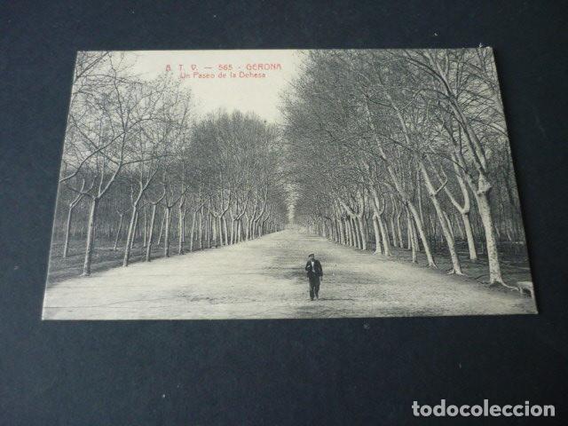Postales: GERONA UN PASEO DE LA DEHESA - Foto 1