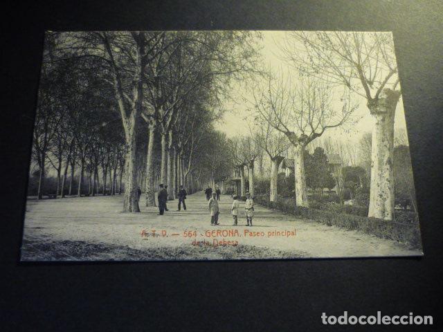 Postales: GERONA PASEO PRINCIPAL DE LA DEHESA - Foto 1