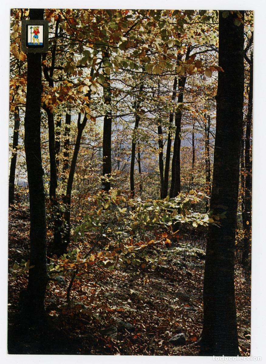 Postais: m10516 santa fe del montseny bello paisaje oto&ntilde;al 1970 escudo de oro n&ordm;5447 sc