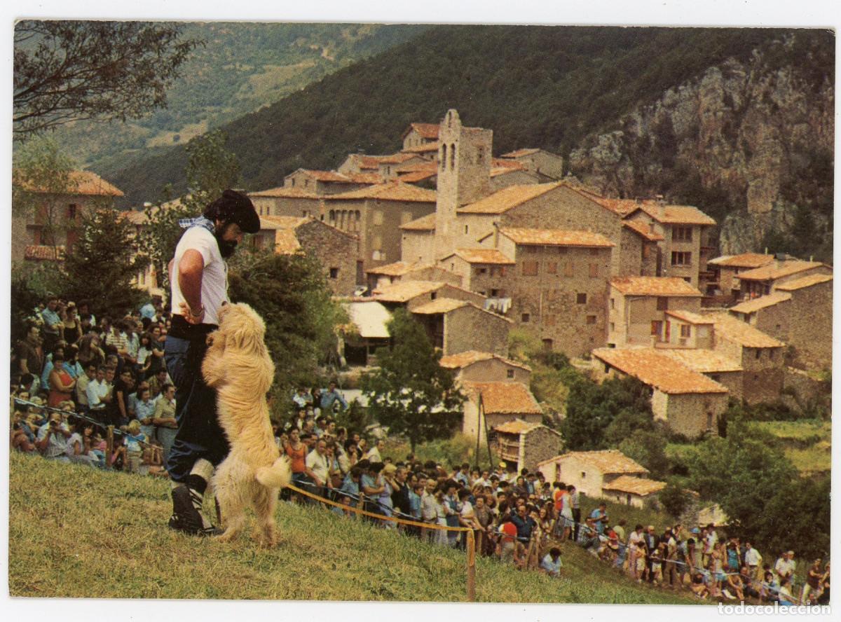 Postcards: m10555 castellar de n'hug concurs de gossos d'atura luigi n&ordm;209 sc