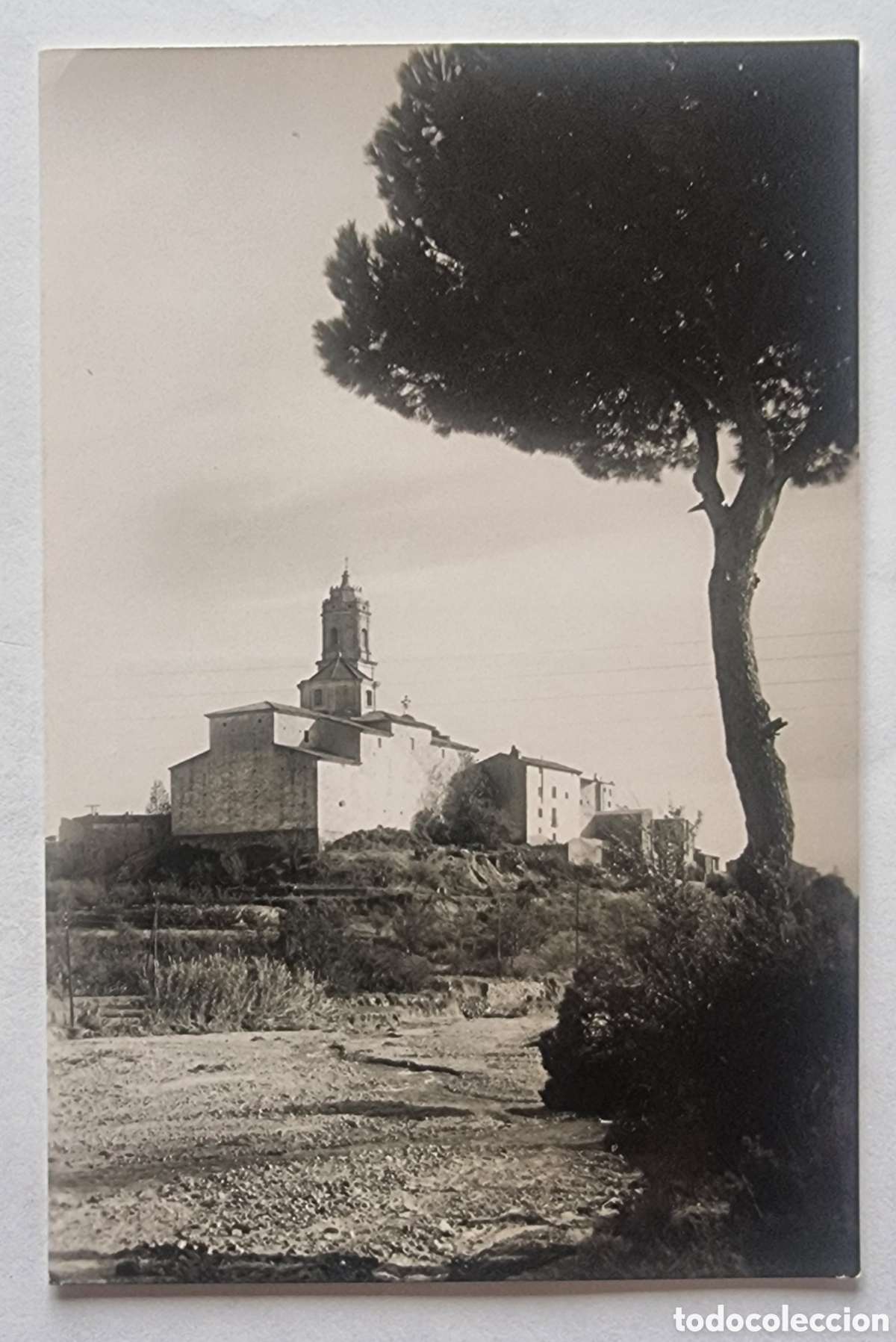 Postais: LES BORGES DEL CAMP - TARRAGONA