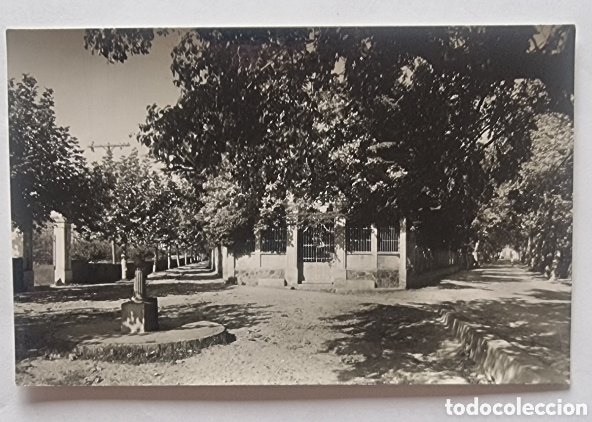 Postais: LES BORGES DEL CAMP - TARRAGONA