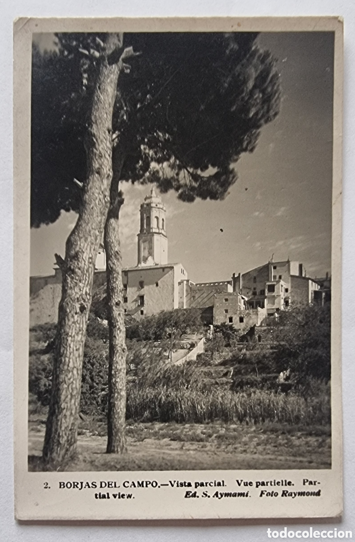 Postales: LES BORGES DEL CAMP - TARRAGONA - Foto 1