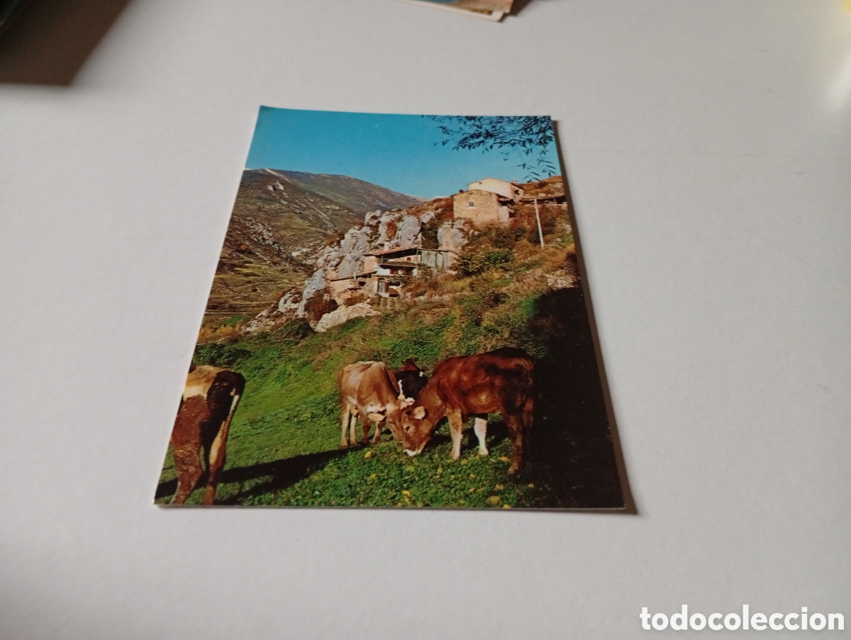 Postales: Postal Tuixent, Lleida - Foto 1