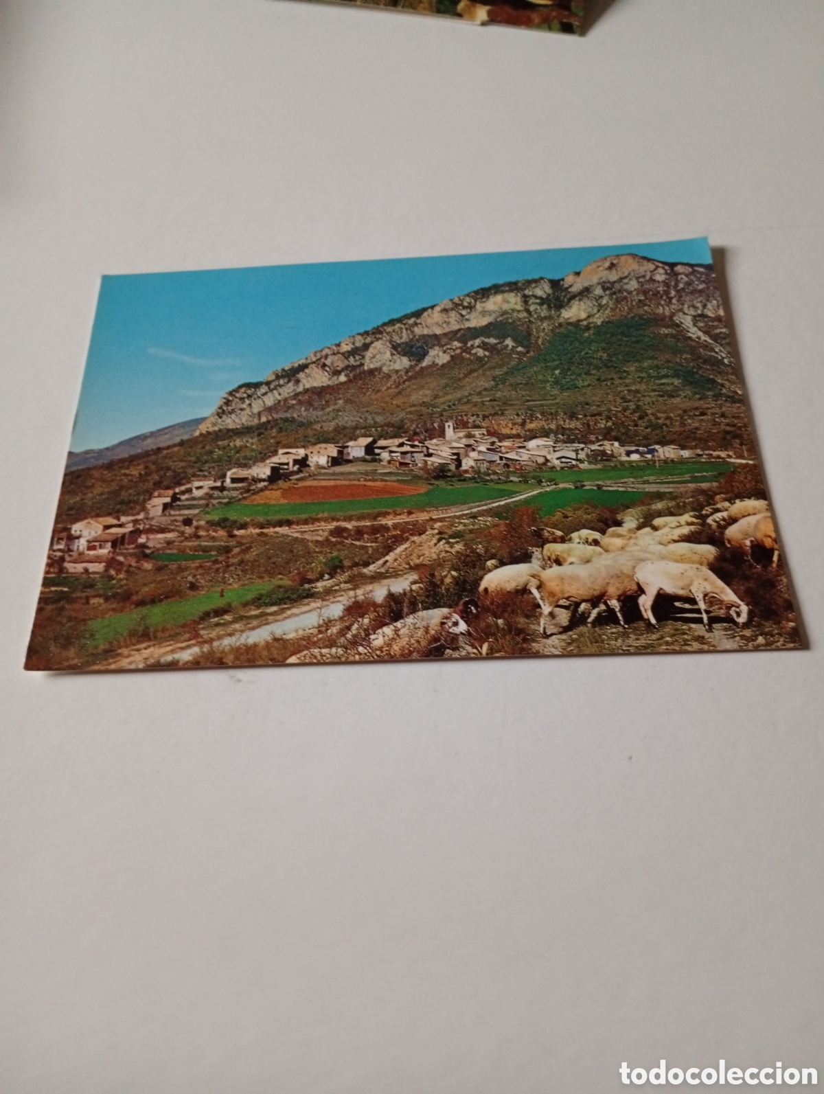 Postales: Postal Tuixent Lleida - Foto 1
