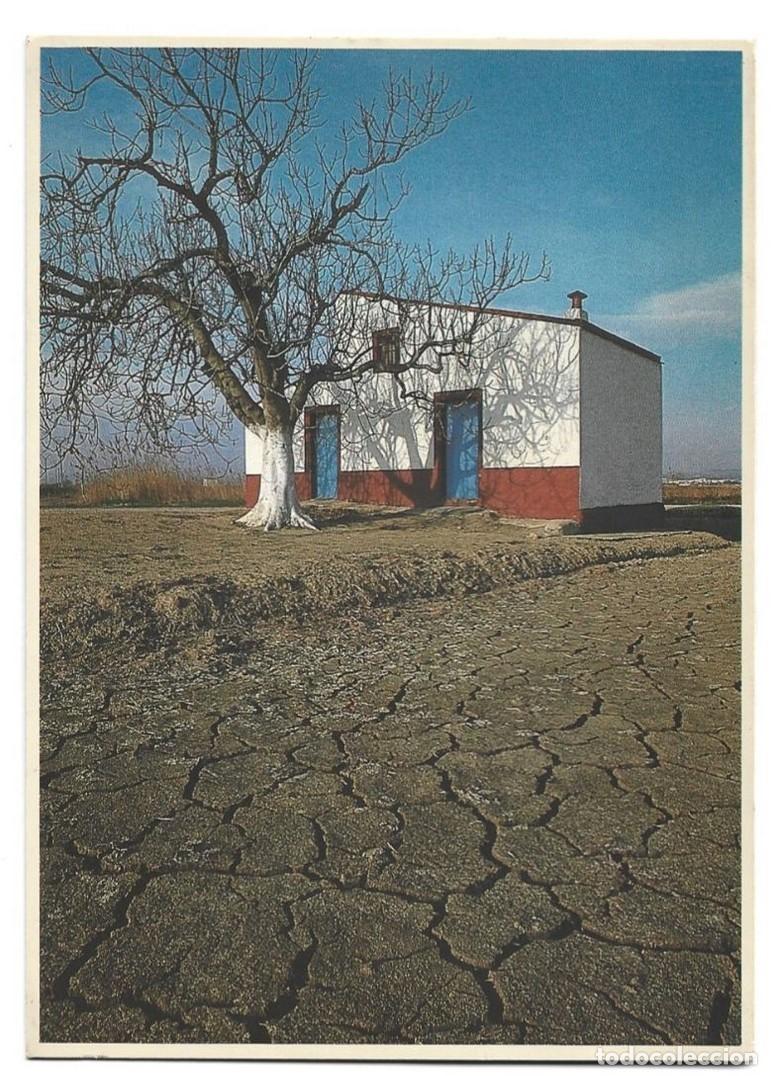 Postales: DELTA DE L&acute;EBRE.- &rdquo; MEDITERRANIA &rdquo; - Foto 1