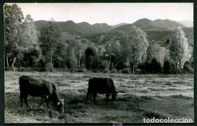 Postales: Prullans. Sin datos editor. Circulada. - Foto 1