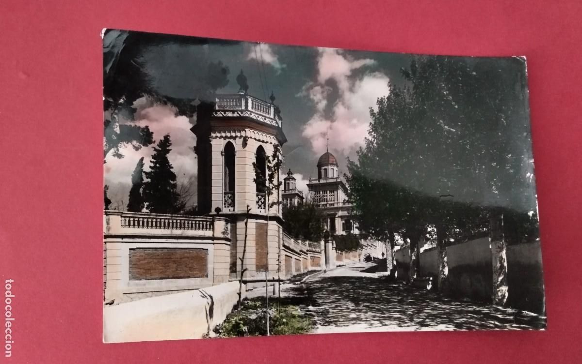 Postales: ARBOS , POSTAL ANTIGUA , - Foto 1