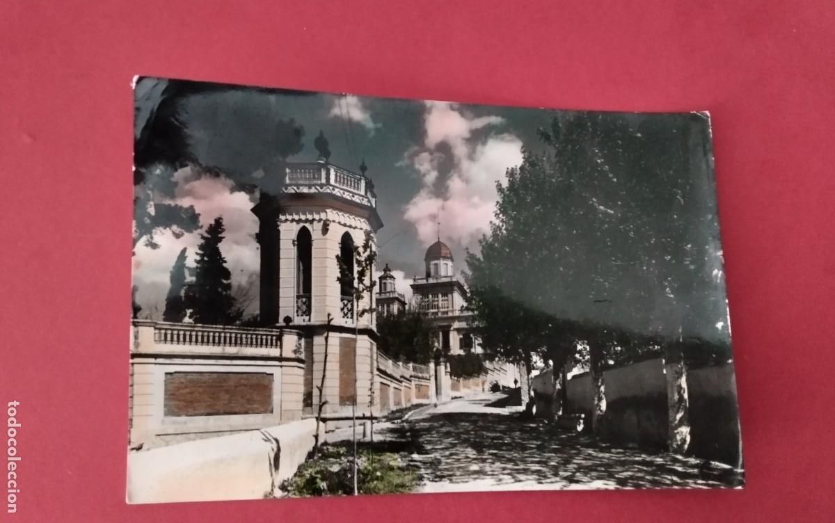 Postales: ARBOS , POSTAL ANTIGUA , - Foto 2