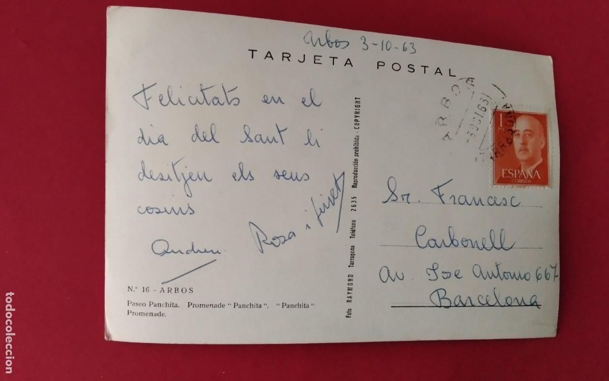 Postales: ARBOS , POSTAL ANTIGUA , - Foto 3