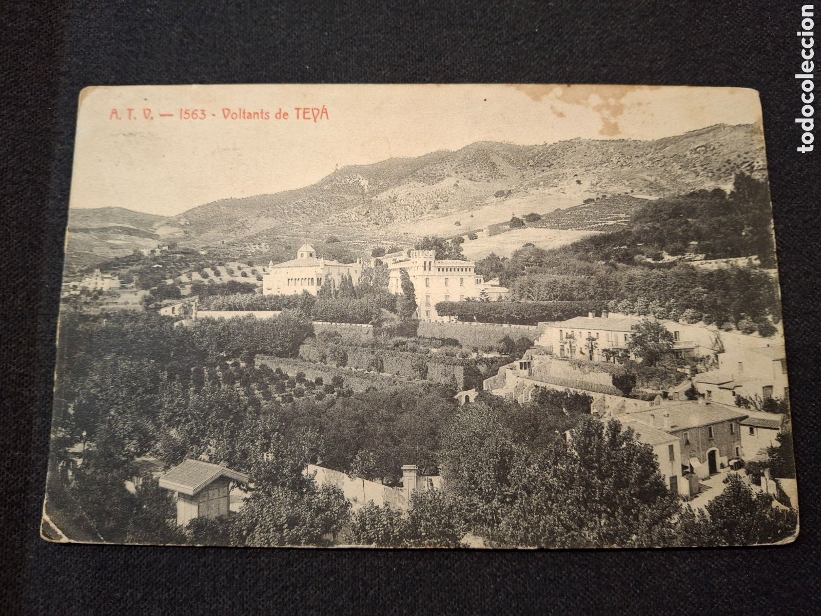 POSTAL . VOLTANTS DE TEYA. Teia