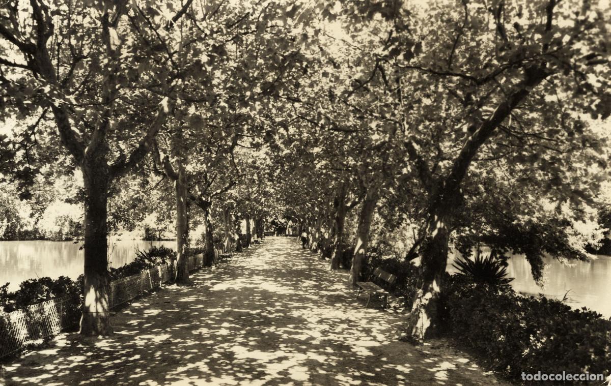 Postales: BORJAS BLANCAS - PASEO CENTRAL DEL PARQUE TERRALL