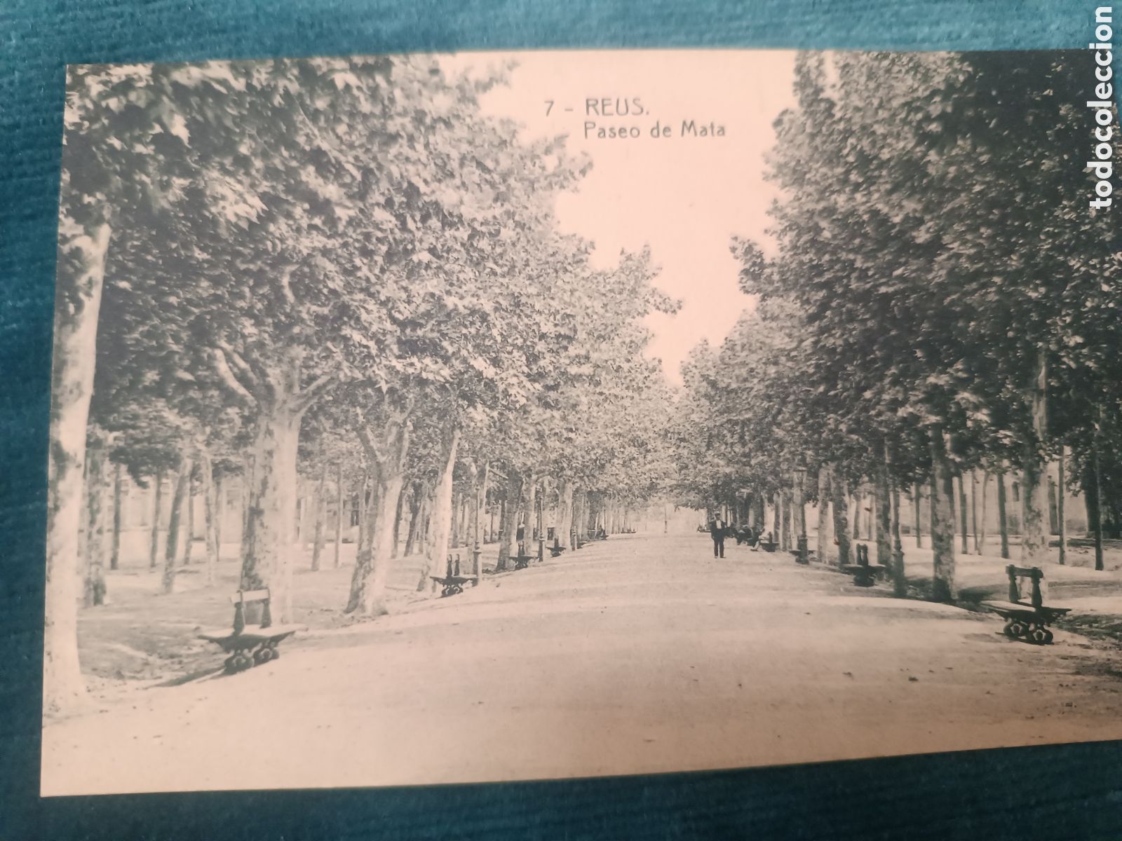 Postkarten: 7 REUS. Paseo de Mata