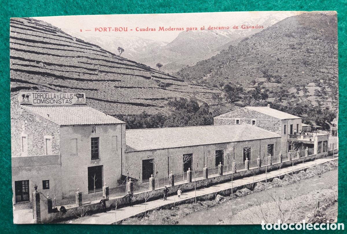 Postcards: PORTBOU CUADRAS GANADO POSTAL ANIMADA FOTOTIPIA PORT-BOU ALT EMPORD&Agrave; GIRONA C. 1920