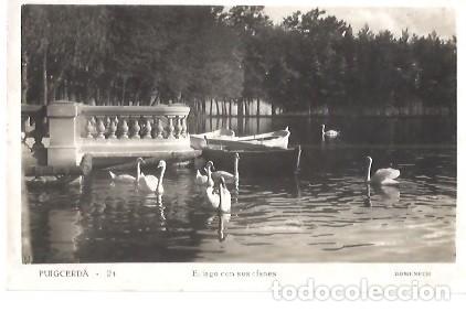 Cartoline: ANTIGUA POSTAL 24 PUIGCERDA EL LAGO CON SUS CISNES DOMENECH