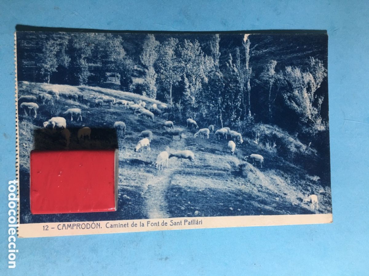 Postales: 1924 B/N CIRCULADA A ALP - 12 CAMPROD&Oacute;N CAMINET DE LA FONT DE SANT PATLL&Aacute;RI - A72