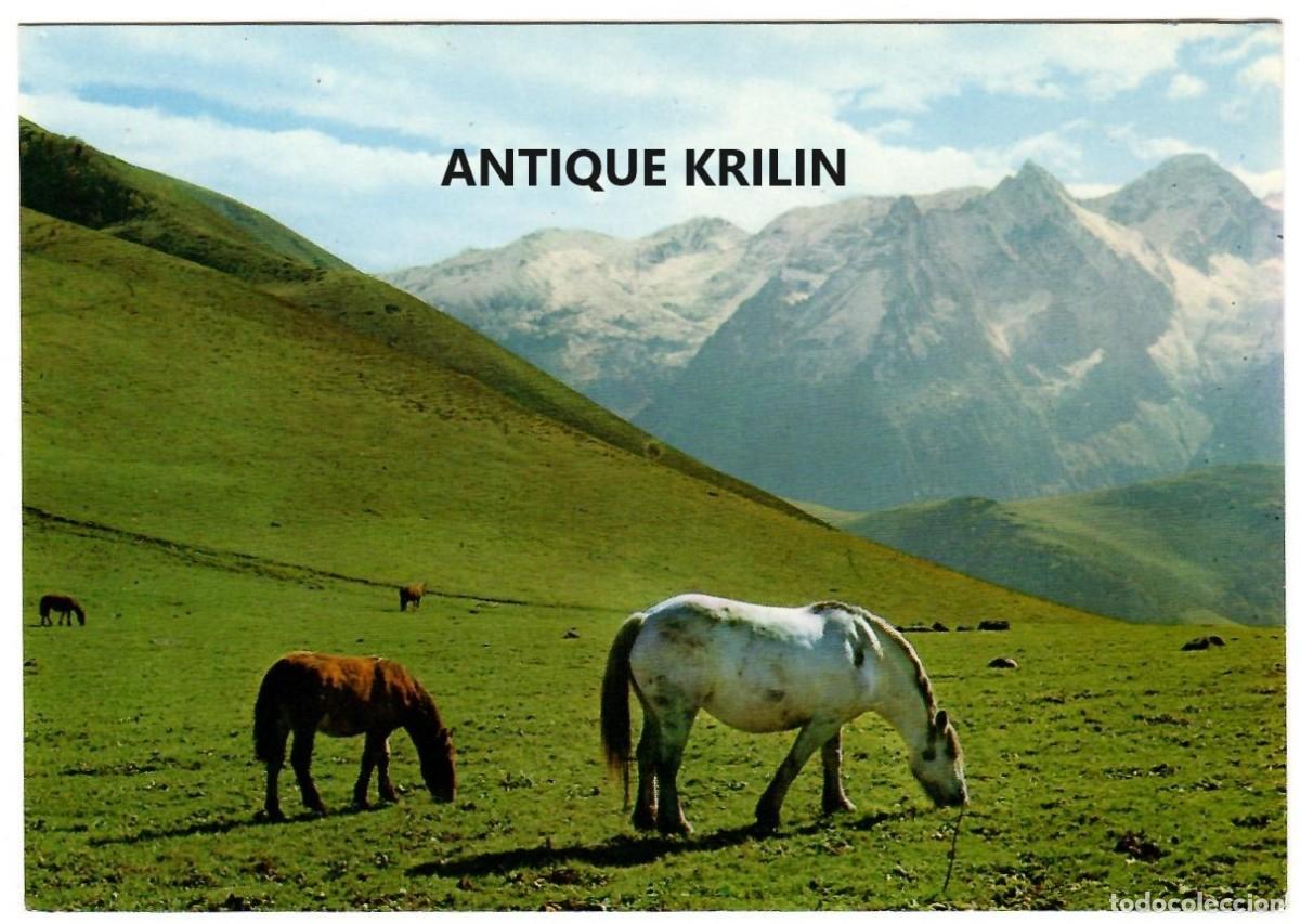 Postales: VALL D'ARAN / BOSSOST / CLOT DE BARETGES N&ordm; 116 / FOTO TUR / SIN FRANQUEAR