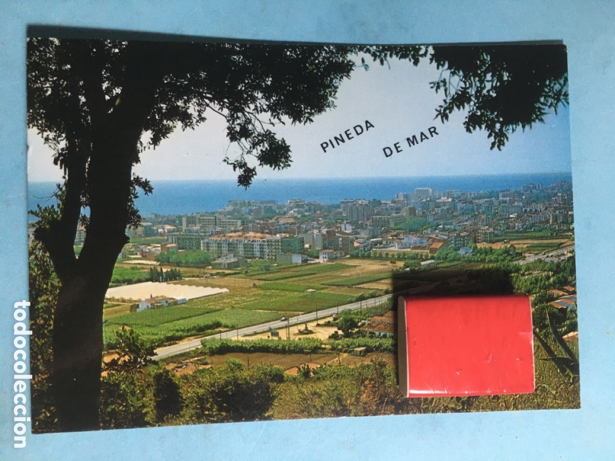 Postales: 1983 18/5 COLOR CIRC. PINEDA DE MAR 109 VISTA GENERAL - DISTRIBUIDOR EN CALELLA - R1620