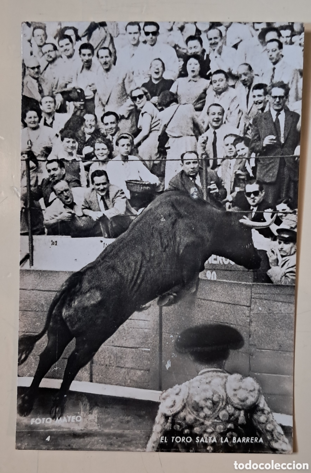 Postales: Tarjeta Postal, Toro Salta l&aacute; Barrera. - Foto 1