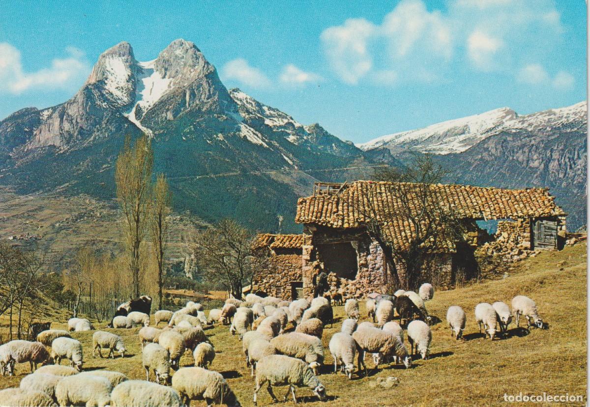 Postales: (210) SALDES. PEDRAFORCA ... SIN CIRCULAR - Foto 1