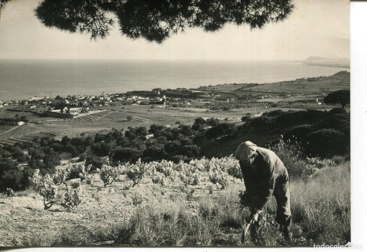 Postales: MASNOU-VISTA GENERAL-FOTO TORRES- A&Ntilde;O 1956