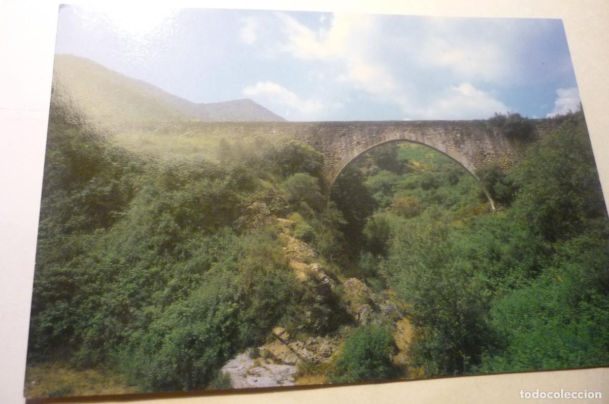 Postales: POSTAL LA SELVA DEL CAMP.-PONT ALT - Foto 1